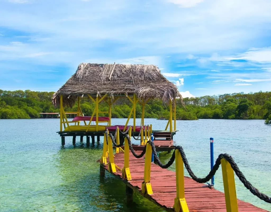 Punta Caracol Acqua Lodge | Hotel en Bocas del Toro