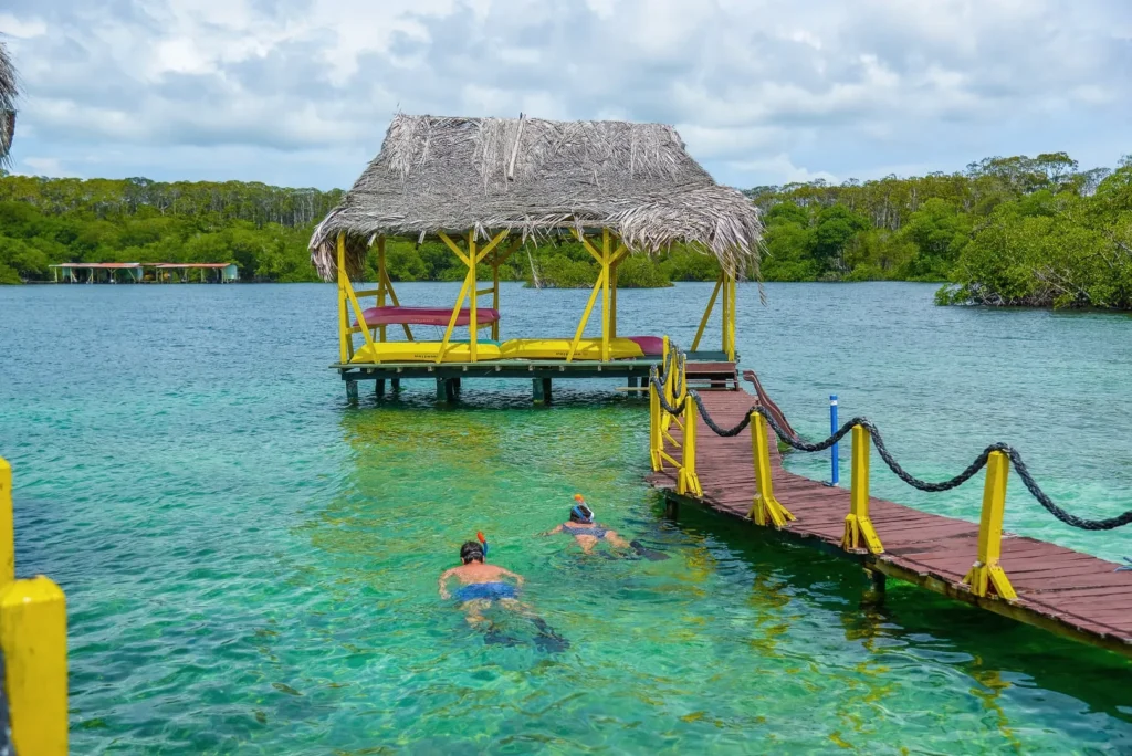 Guests swimming next to a thatched gazebo at the end of a dock