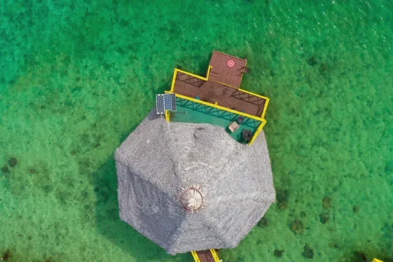 Palm-thatched palafito roof seen from above, surrounded by green water